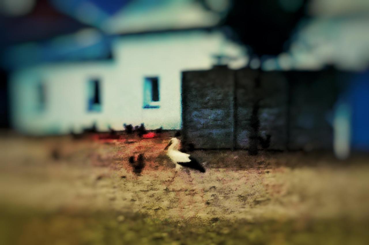 Home&Slow Life Gdansk Exterior foto